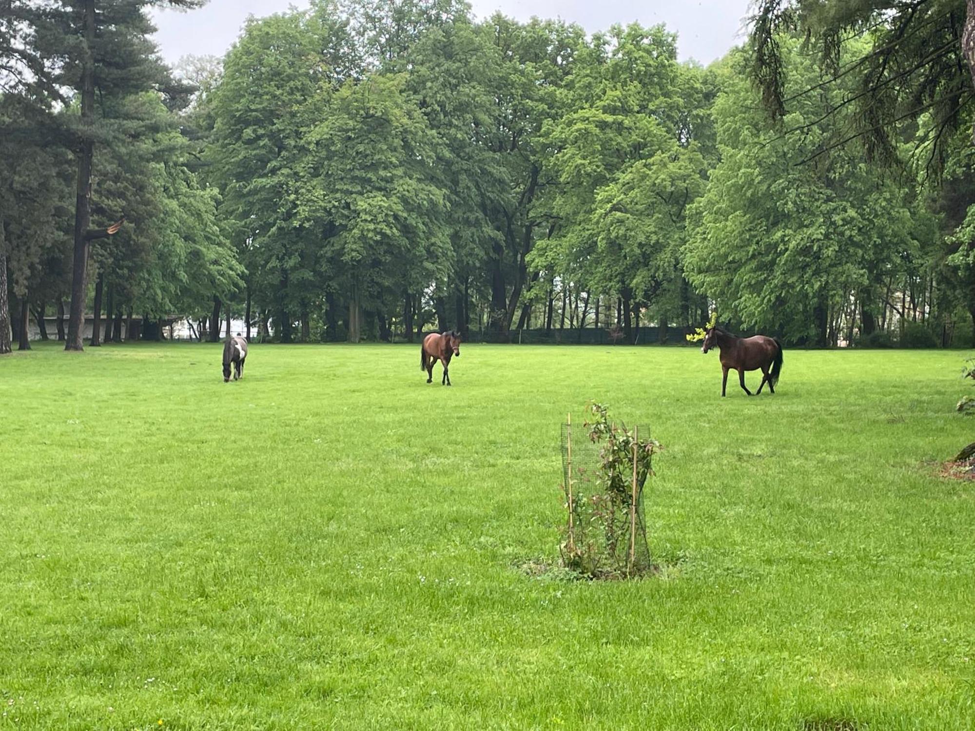 Palac Zbylitowskich Zbylitowska Gora Extérieur photo